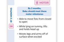 Load image into Gallery viewer, Baby's First Year Milestone Guide