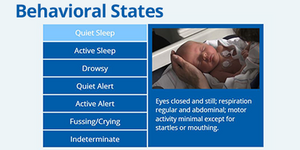 Audio, Tactile, Visual, Vestibular (ATVV) Intervention